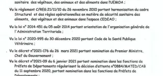 cote-divoire-un-prefet-prend-une-importante-decision-apres-la-detection-de-grippe-aviaire-dans-sa-localite